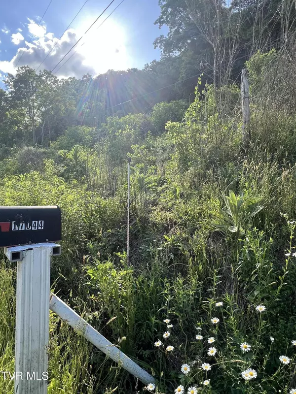 Tbd Fork River RD, Abingdon, VA 24210