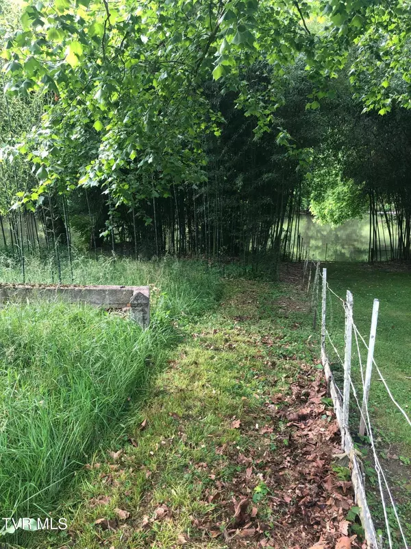 Tbd Fork River RD, Abingdon, VA 24210