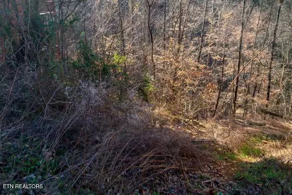 636 Stockton Drive, Sevierville, TN 37876