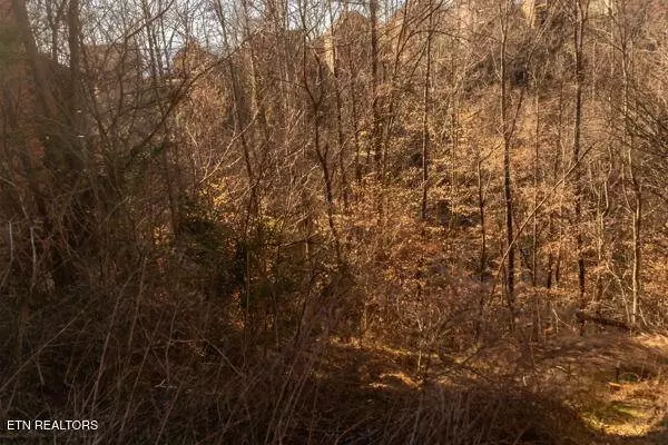 636 Stockton Drive, Sevierville, TN 37876