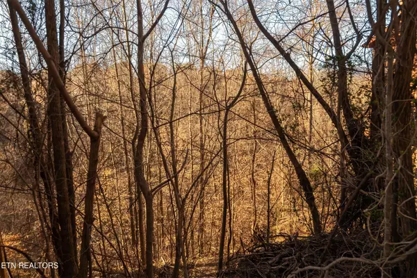 636 Stockton Drive, Sevierville, TN 37876