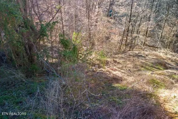 636 Stockton Drive, Sevierville, TN 37876