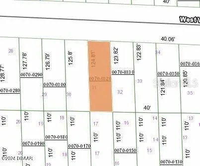 125 Virginia ST, Hawthorne, FL 32640