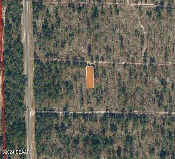 125 Virginia ST, Hawthorne, FL 32640
