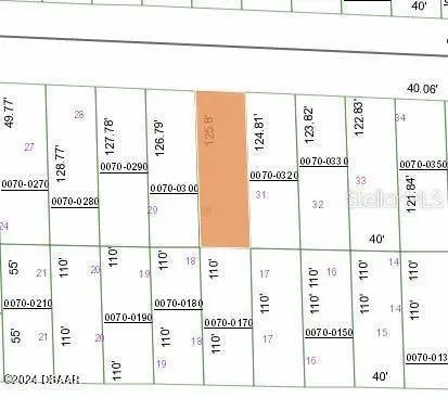 127 Virginia ST, Hawthorne, FL 32640