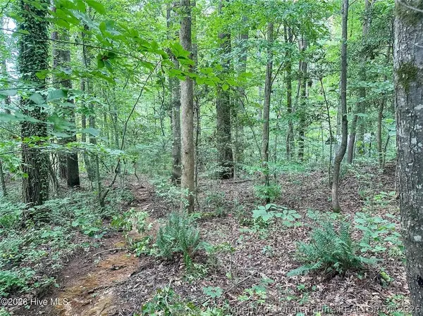 TBD South Pointe PT, Sanford, NC 27330