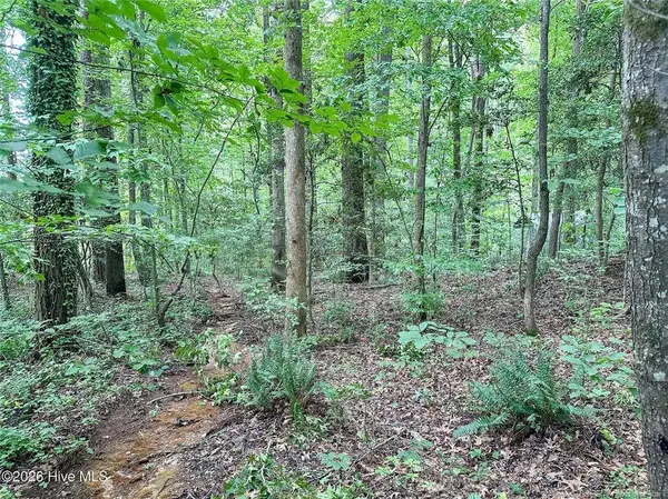 TBD South Pointe, Sanford, NC 27330