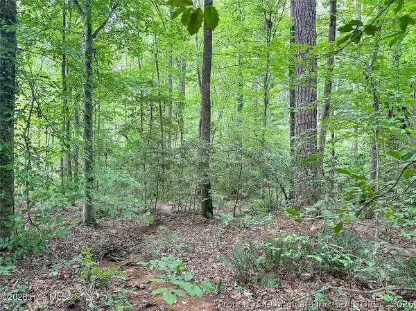 TBD South Pointe PT, Sanford, NC 27330