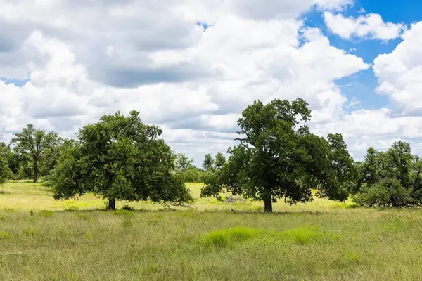 34 Gretchen Grove Ln, Fredericksburg, TX 78624