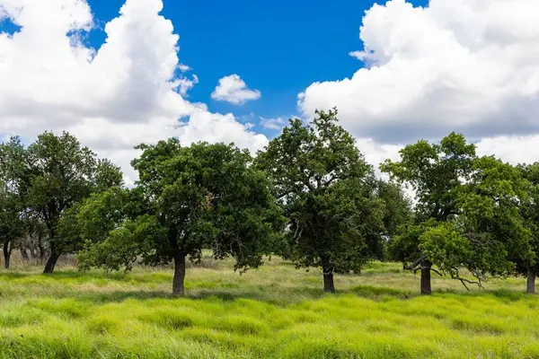 34 Gretchen Grove Ln, Fredericksburg, TX 78624