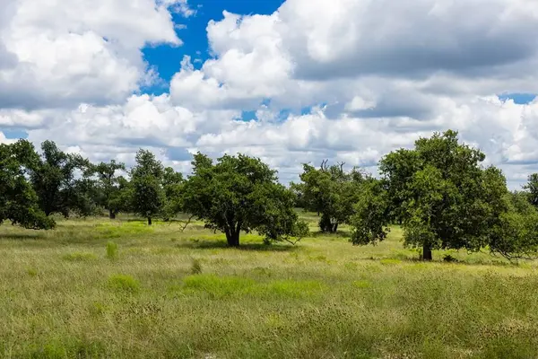 34 Gretchen Grove Ln, Fredericksburg, TX 78624