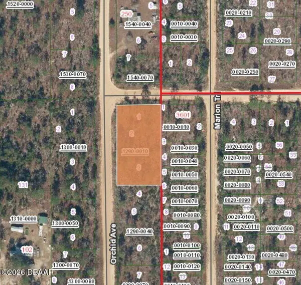 XX Orchid AVE W, Interlachen, FL 32148