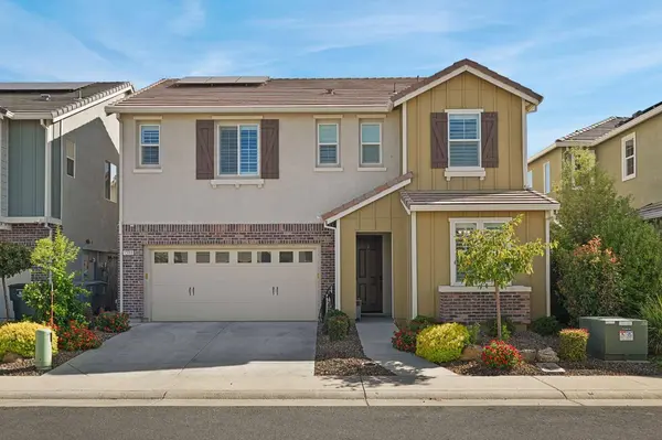 1338 Orchid CT