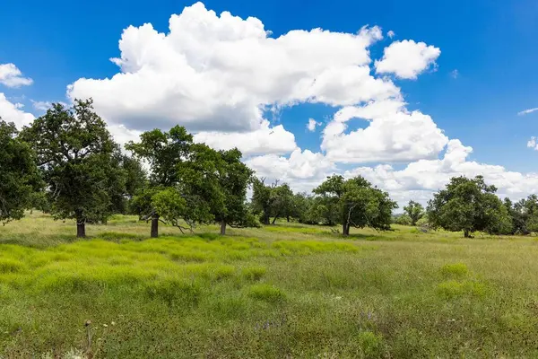 100 Gretchen Grove Ln, Fredericksburg, TX 78624