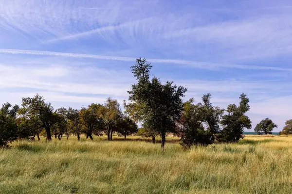 100 Gretchen Grove Ln, Fredericksburg, TX 78624