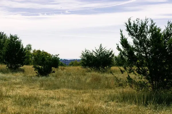 100 Gretchen Grove Ln, Fredericksburg, TX 78624
