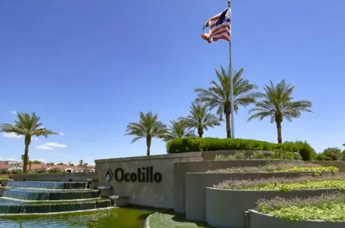 Ocotillo