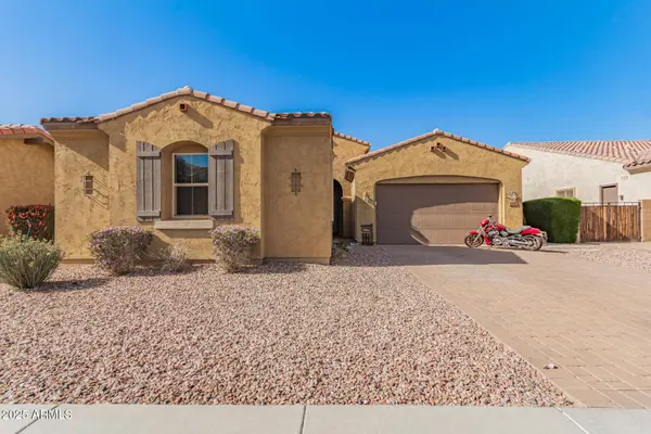 870 E TONTO Place, Chandler, AZ 85249