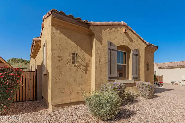 870 E TONTO Place, Chandler, AZ 85249