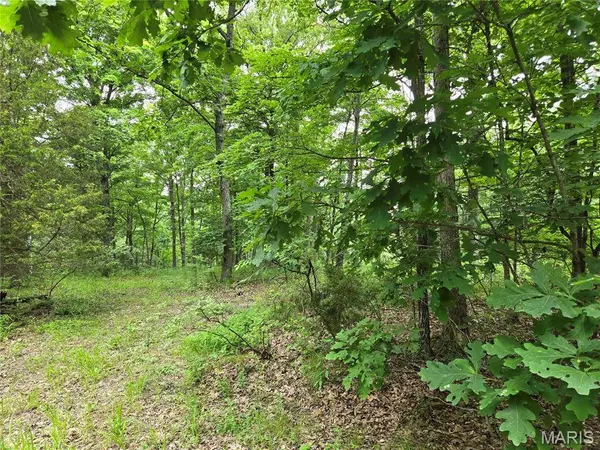 0 Mark Peterson DR, Wright City, MO 63390