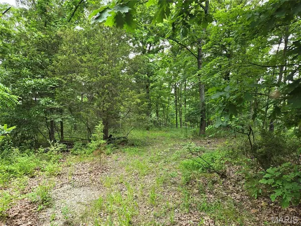 0 Mark Peterson DR, Wright City, MO 63390