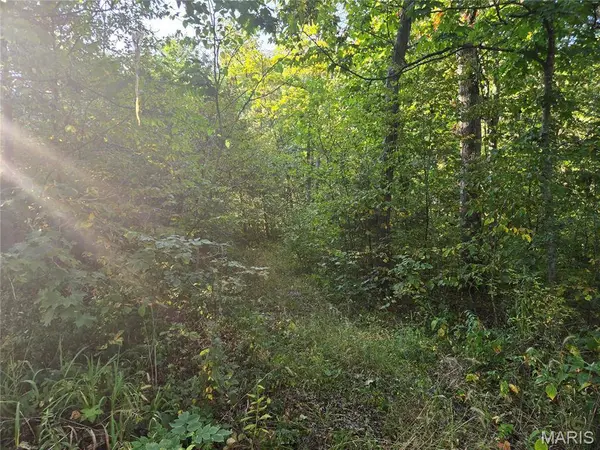 0 Tranquil Oaks, Wright City, MO 63390
