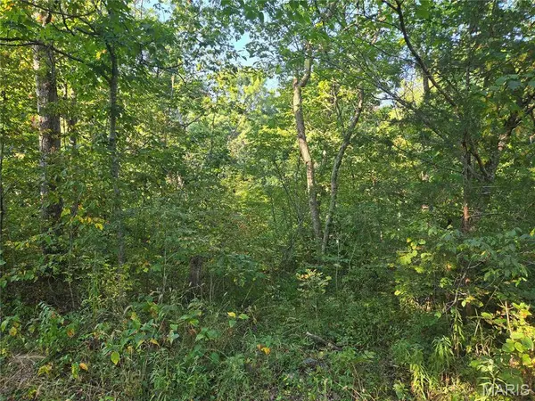 0 Tranquil Oaks, Wright City, MO 63390
