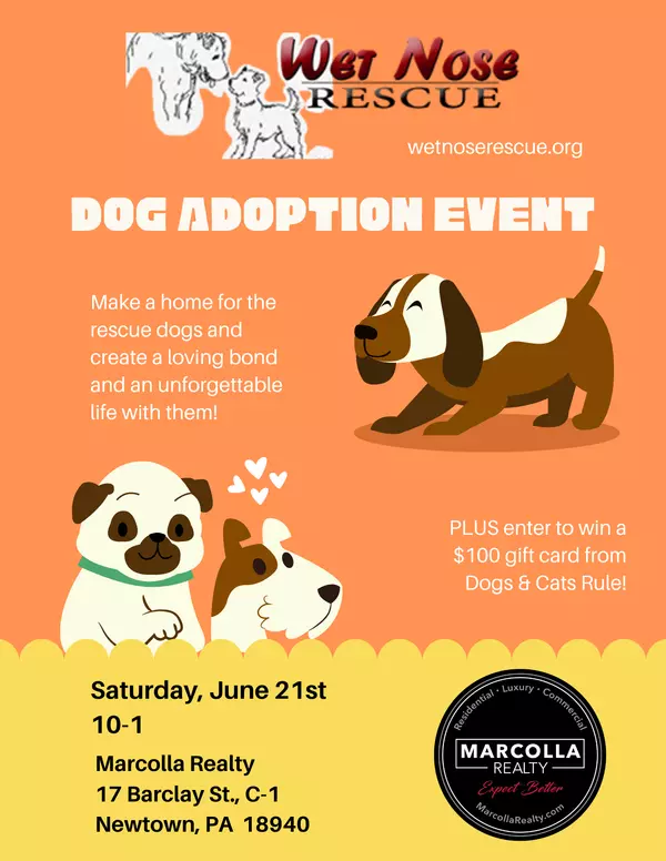 Wet Nose Rescue Dog Adoption