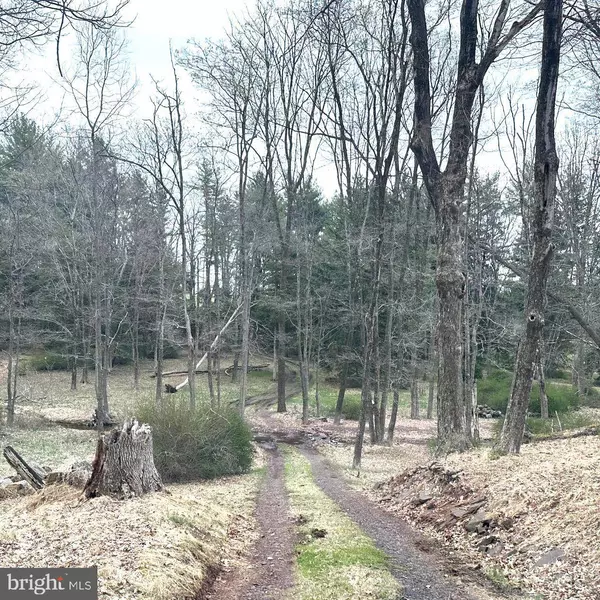 565 CAFFERTY RD, Ottsville, PA 18942