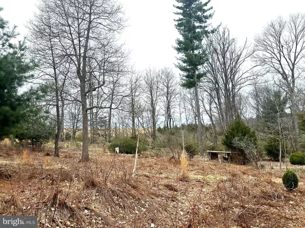 565 CAFFERTY RD, Ottsville, PA 18942