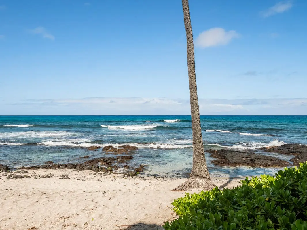 nxeh5mha8tx9uezpn4xf