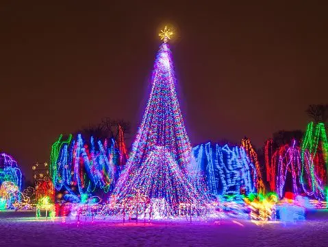 Top 10 Things To Do In Mankato MN In The Winter,Angie VanEman Lynch