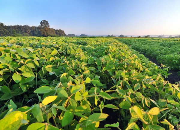 Inherited Land or Acreage in Southern MN? What to Do Next