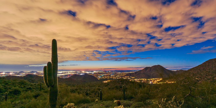 Stunning twilight view of Phoenix, Arizona from a desert mountain overlook, featuring saguaro cacti in the foreground and a glowing city skyline in the distance under a dramatic, cloud-filled sunset sky—symbolizing the growth, opportunity, and natural beauty defining Phoenix in 2025.
