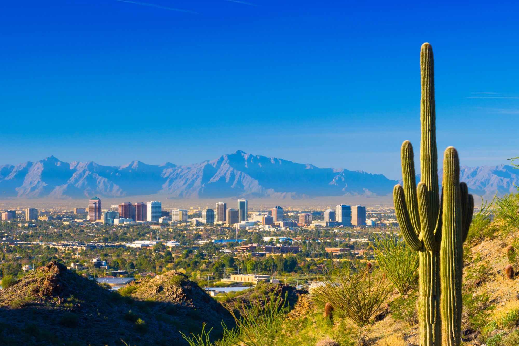 Phoenix skyline