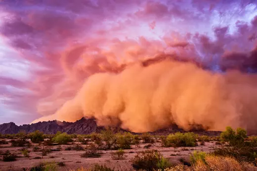 Arizona monsoon dust storm rolling across the desert at sunset, showing the dramatic summer weather patterns that are part of Arizona’s climate.