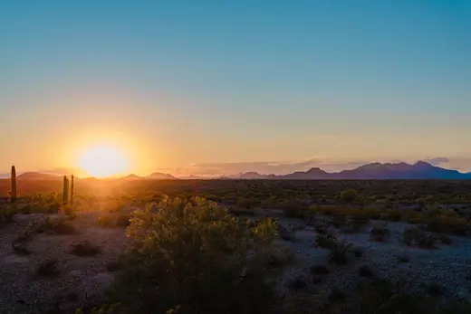 Panoramic sunset view overlooking Phoenix and Glendale city lights from a desert mountain trail with saguaros, showcasing the scenic beauty and nighttime lifestyle that draws people to move to Arizona.