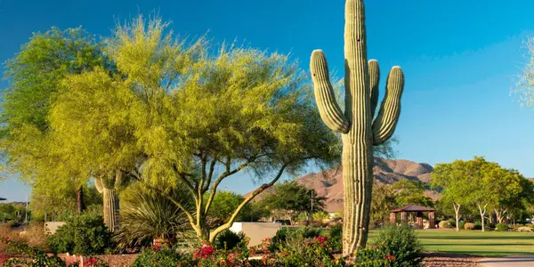 Moving from Los Angeles to Phoenix: The Complete 2026 Guide to Costs, Taxes, Neighborhoods & Making the Move