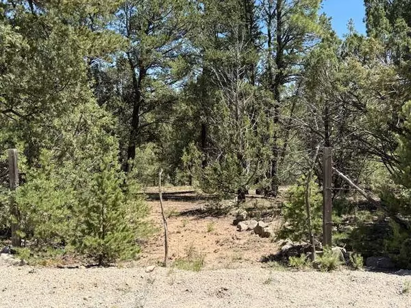 15 MEMORY LN, Tijeras, NM 87059