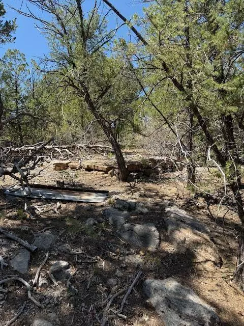 15 MEMORY LN, Tijeras, NM 87059