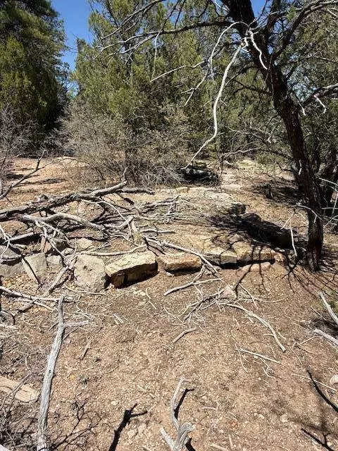 15 MEMORY LN, Tijeras, NM 87059