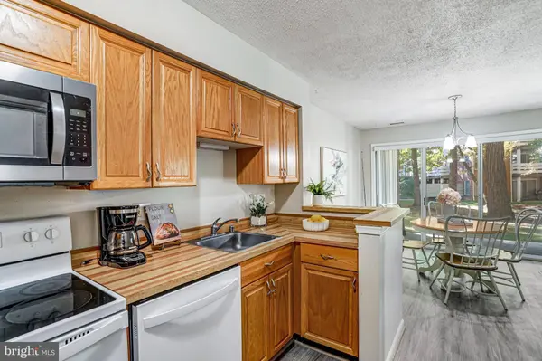 7598-L LAKESIDE VILLAGE DR #L, Falls Church, VA 22042