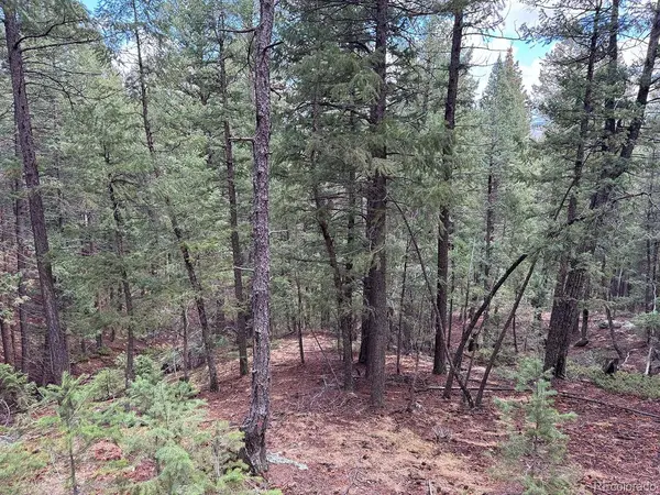 Liberty DR, Evergreen, CO 80439