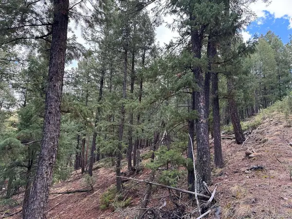 Liberty DR, Evergreen, CO 80439