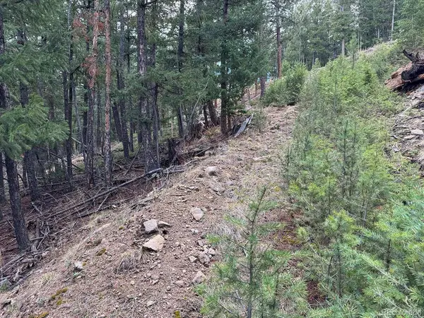 Liberty DR, Evergreen, CO 80439