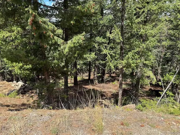 Liberty DR, Evergreen, CO 80439
