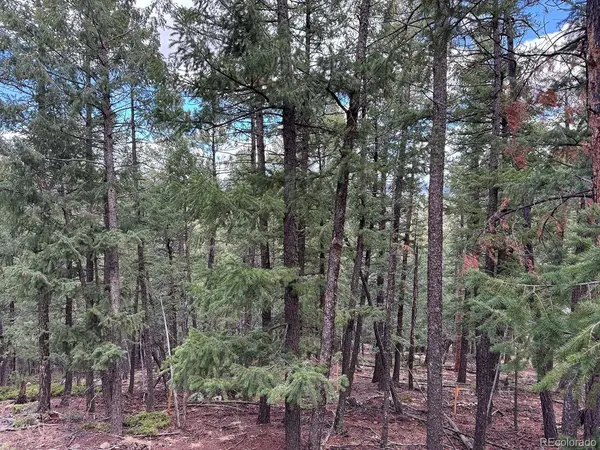 Liberty DR, Evergreen, CO 80439