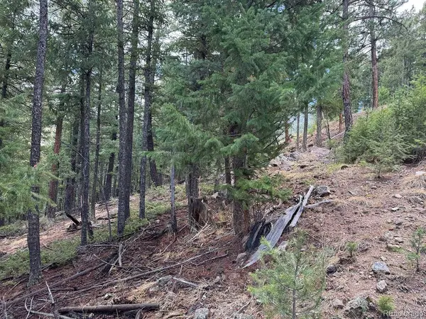 Liberty DR, Evergreen, CO 80439