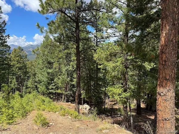 Liberty DR, Evergreen, CO 80439