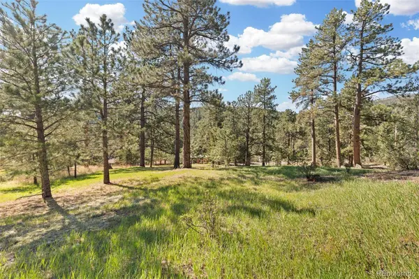 7186 Julie LN, Evergreen, CO 80439